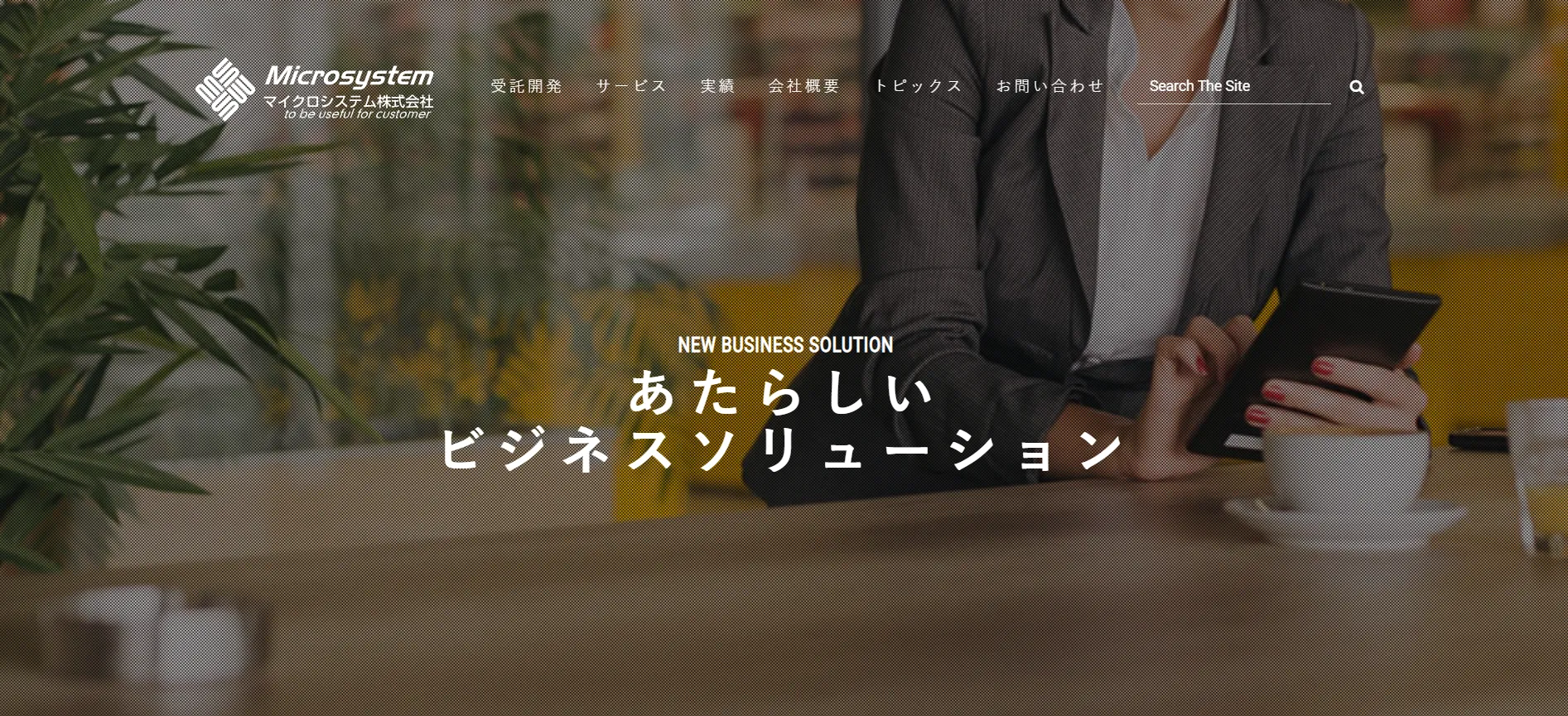 12.マイクロシステム株式会社